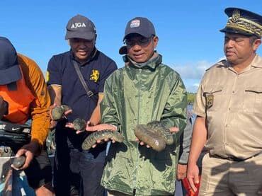 Μόδα, Υγεία και Ομορφιά: Υπηρεσία τροφοδοσίας — 3