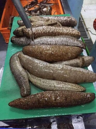 Μόδα, Υγεία και Ομορφιά: Υπηρεσία τροφοδοσίας — 1