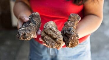 Μόδα, Υγεία και Ομορφιά: Υπηρεσία τροφοδοσίας — 5