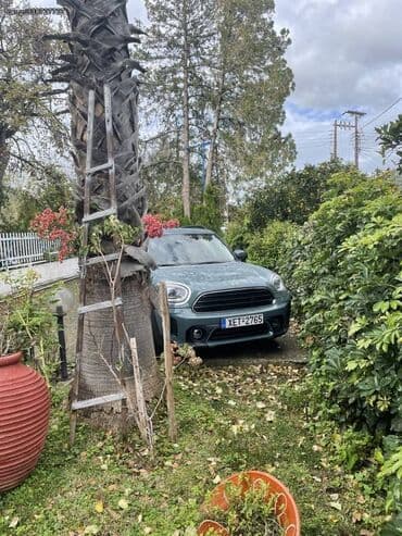 Sale cars: Mini Cooper Countryman: 1.5 l | 2021 year 17600 km SUV/4x4 — 6