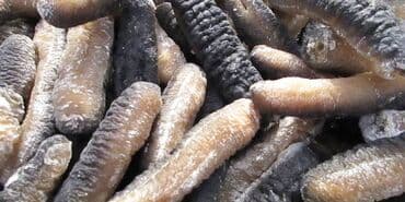 Μόδα, Υγεία και Ομορφιά: Υπηρεσία τροφοδοσίας — 6