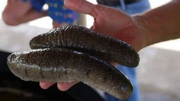 Μόδα, Υγεία και Ομορφιά: Υπηρεσία τροφοδοσίας — 2