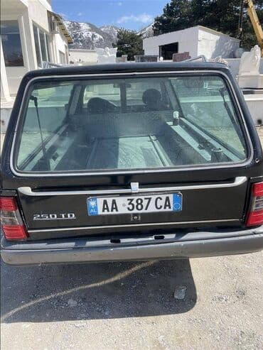 Mercedes-Benz: Mercedes-Benz E 250: 2.5 l | 1989 year MPV — 3